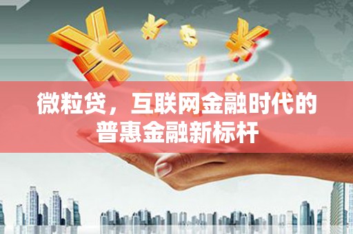 马边微粒贷，互联网金融时代的普惠金融新标杆