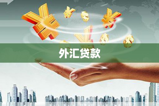 马边外汇贷款