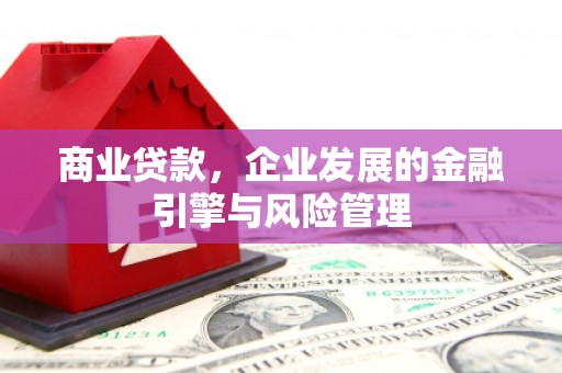 马边商业贷款，企业发展的金融引擎与风险管理