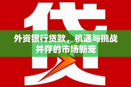 马边外资银行贷款，机遇与挑战并存的市场新宠