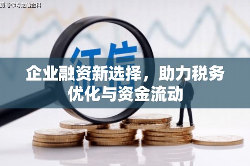 马边企业融资新选择，助力税务优化与资金流动