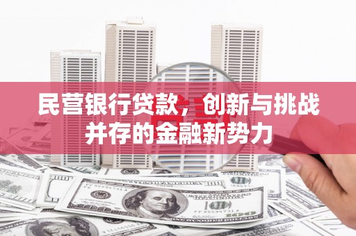 马边民营银行贷款，创新与挑战并存的金融新势力