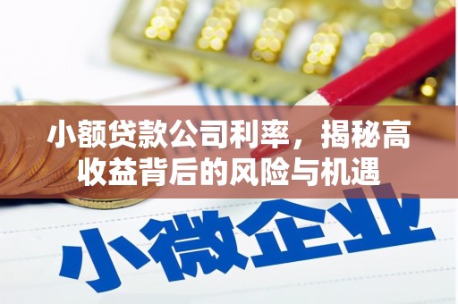 马边小额贷款公司利率，揭秘高收益背后的风险与机遇