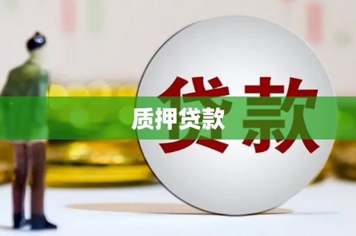 马边质押贷款