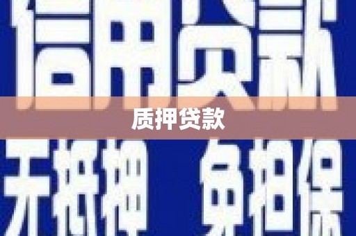 马边质押贷款