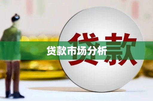 马边贷款市场分析
