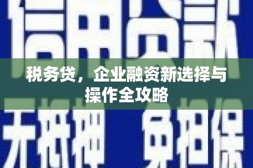 马边税务贷，企业融资新选择与操作全攻略