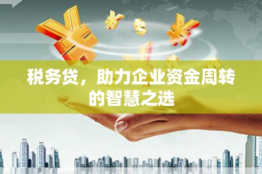 马边税务贷，助力企业资金周转的智慧之选