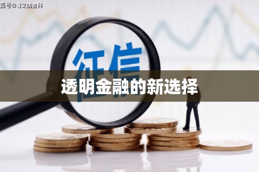 马边透明金融的新选择