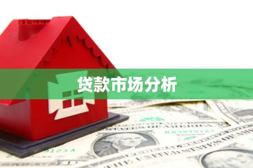 马边贷款市场分析