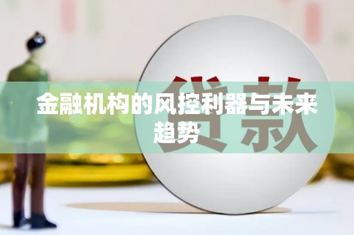 马边金融机构的风控利器与未来趋势