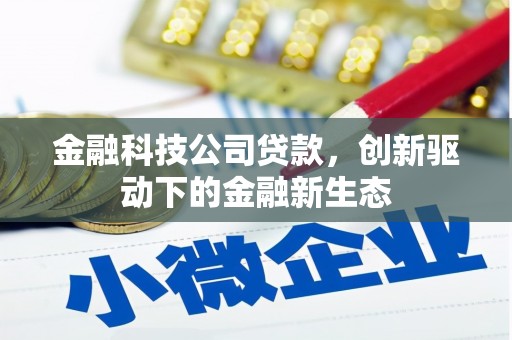 马边金融科技公司贷款，创新驱动下的金融新生态