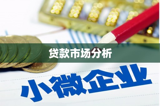 马边贷款市场分析