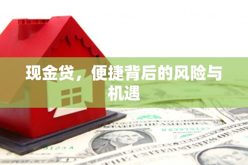 马边现金贷，便捷背后的风险与机遇
