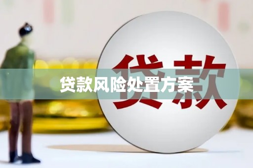 马边贷款风险处置方案