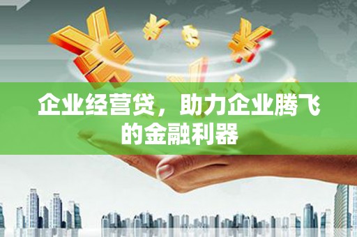 马边企业经营贷，助力企业腾飞的金融利器