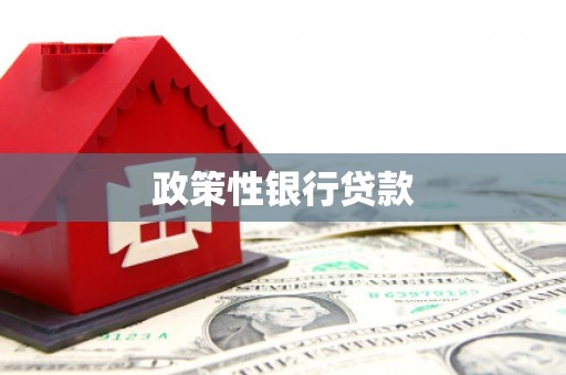 马边政策性银行贷款