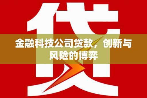 马边金融科技公司贷款，创新与风险的博弈