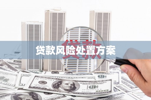马边贷款风险处置方案