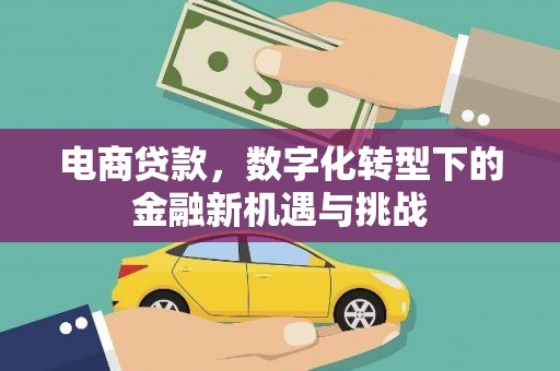 马边电商贷款，数字化转型下的金融新机遇与挑战
