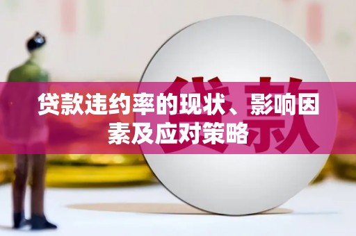 马边贷款违约率的现状、影响因素及应对策略