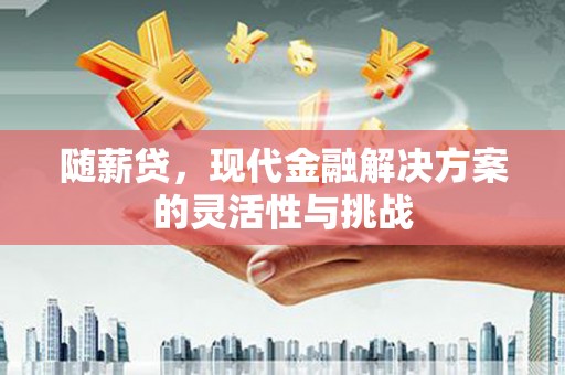 马边随薪贷，现代金融解决方案的灵活性与挑战