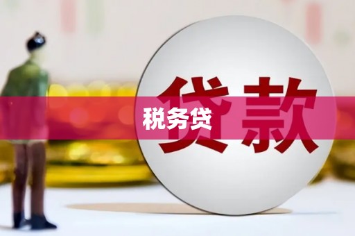 马边税务贷