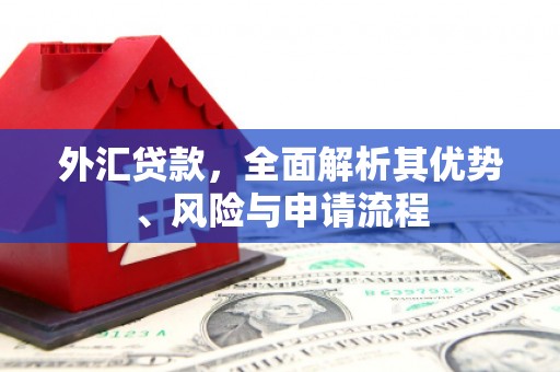 马边外汇贷款，全面解析其优势、风险与申请流程