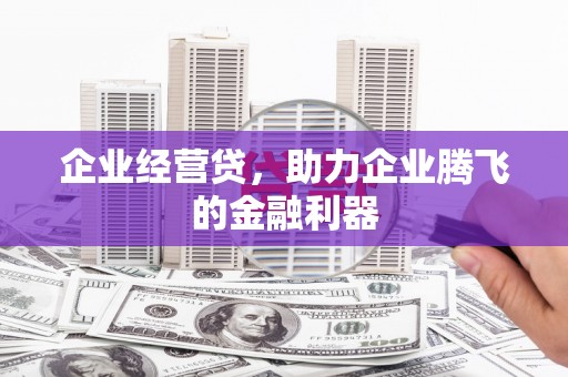马边企业经营贷，助力企业腾飞的金融利器