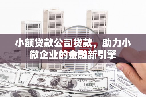 马边小额贷款公司贷款，助力小微企业的金融新引擎