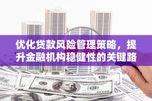 马边优化贷款风险管理策略，提升金融机构稳健性的关键路径