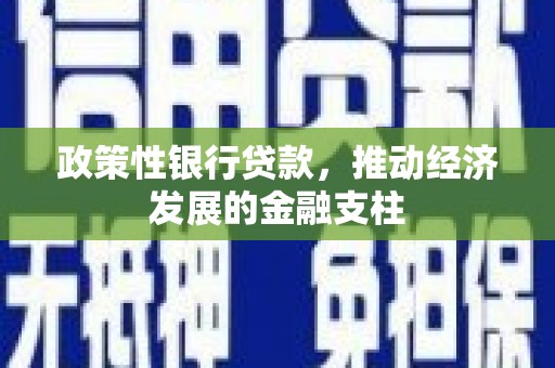 马边政策性银行贷款，推动经济发展的金融支柱