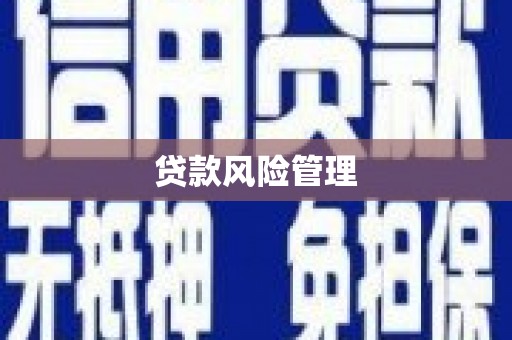 马边贷款风险管理