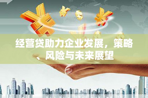 马边经营贷助力企业发展，策略、风险与未来展望