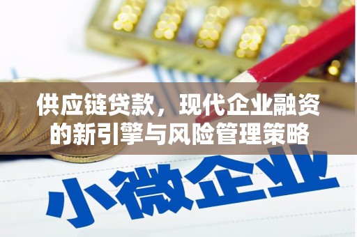 马边供应链贷款，现代企业融资的新引擎与风险管理策略
