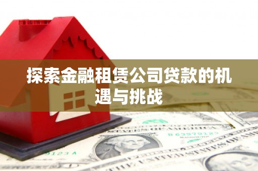 马边探索金融租赁公司贷款的机遇与挑战