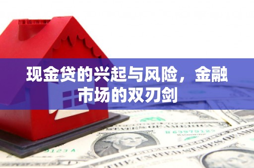 马边现金贷的兴起与风险，金融市场的双刃剑