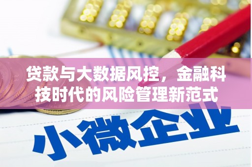 马边贷款与大数据风控，金融科技时代的风险管理新范式
