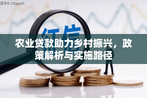 马边农业贷款助力乡村振兴，政策解析与实施路径