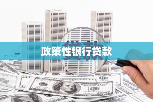 马边政策性银行贷款