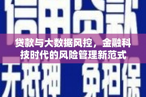 马边贷款与大数据风控，金融科技时代的风险管理新范式