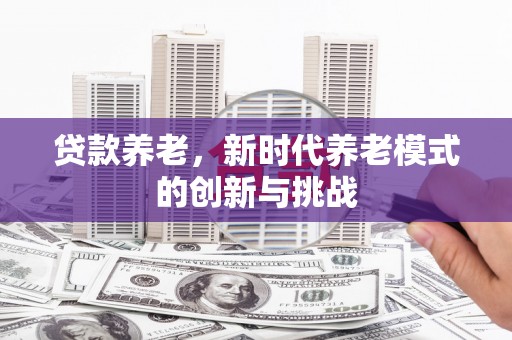 马边贷款养老，新时代养老模式的创新与挑战