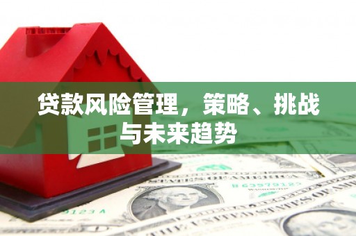 马边贷款风险管理，策略、挑战与未来趋势