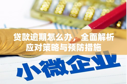 马边贷款逾期怎么办，全面解析应对策略与预防措施