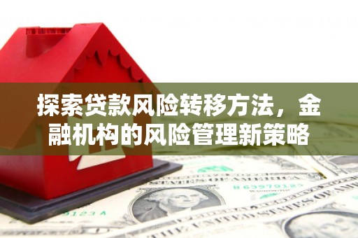 马边探索贷款风险转移方法，金融机构的风险管理新策略
