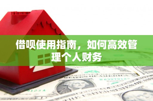 马边借呗使用指南，如何高效管理个人财务