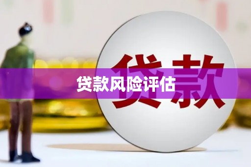 马边贷款风险评估