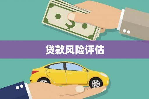 马边贷款风险评估