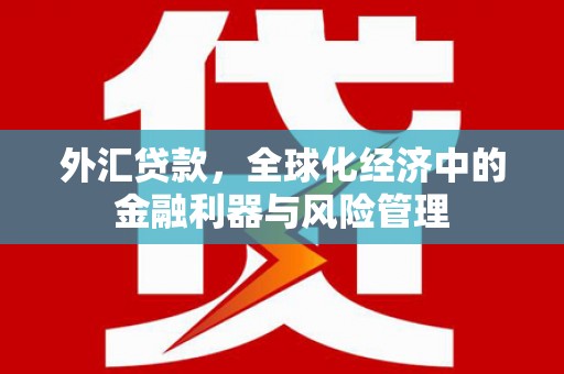 马边外汇贷款，全球化经济中的金融利器与风险管理
