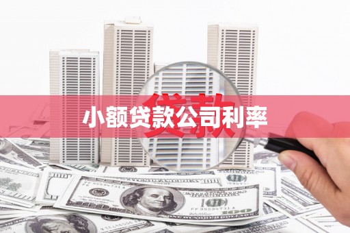 马边小额贷款公司利率